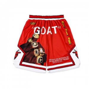 NBA Goat Chicago Bulls shorts Rouge